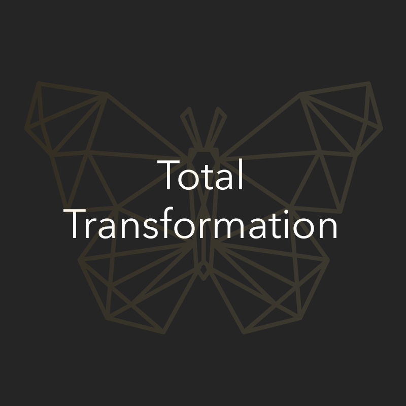Total Transformation vierkant